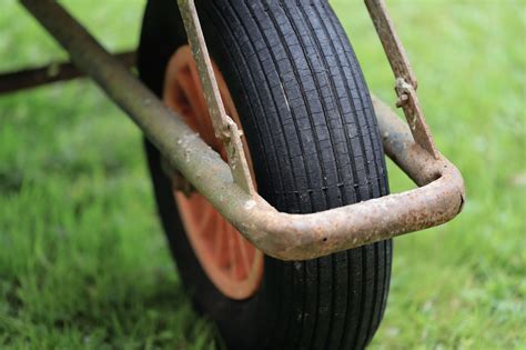 How to Overseed a Lawn: A Full DIY Guide for Thicker, Greener Grass