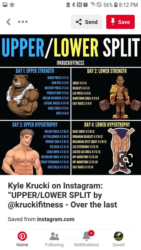 4 Day Push Pull Workout Routine Bodybuilding