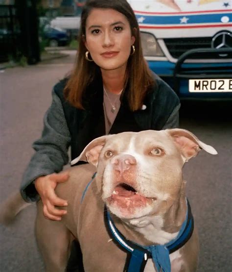 Scary Dog Privilege: meet the hounds empowering and… - The Face