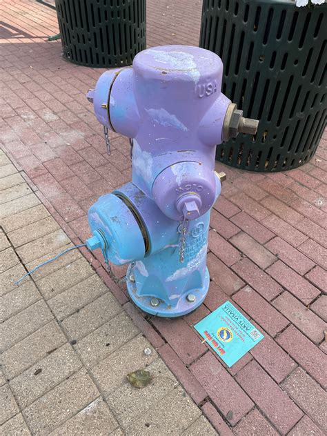 Fire hydrant art? : r/NianticWayfarer