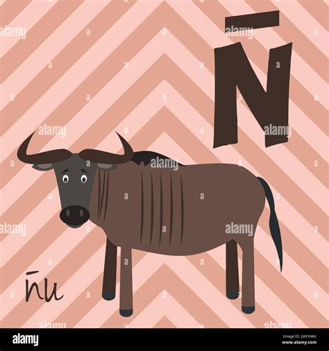 Animales Con N En Español - symboltrust