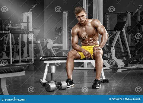 Muscular Man in Gym, Shaped Abdominal. Strong Male Naked Torso Abs ...