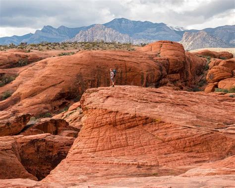 Red Rock Canyon With Kids: Hiking + Climbing Near Las Vegas - Backwoods ...