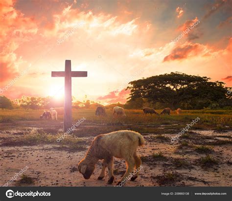 Jesus Lamb Of God Background