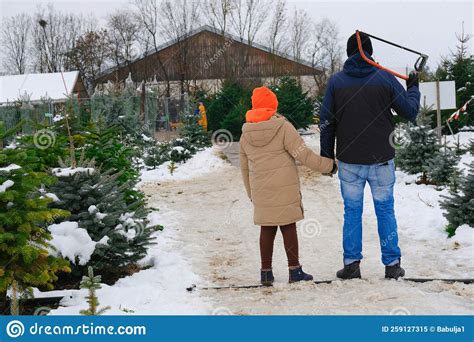 Father and Daughter Choose Christmas Tree at Winter Snowy Fir Tree ...