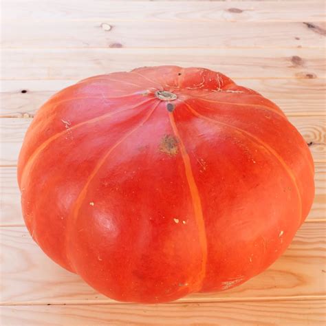 Heirloom Cinderella Maxima squash Organic Seeds | Association Kokopelli