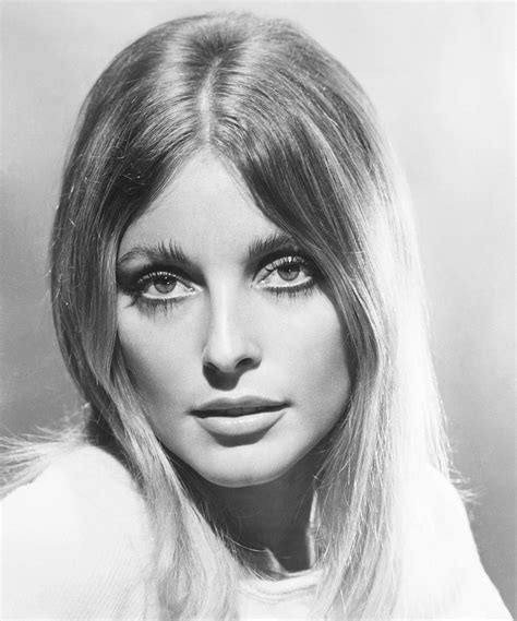 Download Sharon Tate Big Doe Eyes Wallpaper | Wallpapers.com