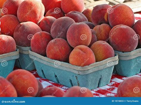 141 Georgia Peaches Photos - Free & Royalty-Free Stock Photos from ...