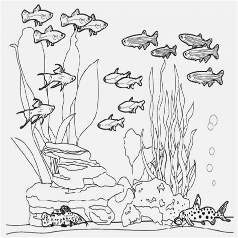 Aquarium Drawing at PaintingValley.com | Explore collection of Aquarium ...