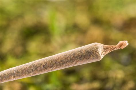 The Difference Between a Spliff, Blunt, and Joint | Medizin Las Vegas