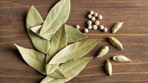 How to make bay leaf tea and what are its health benefits | HealthShots