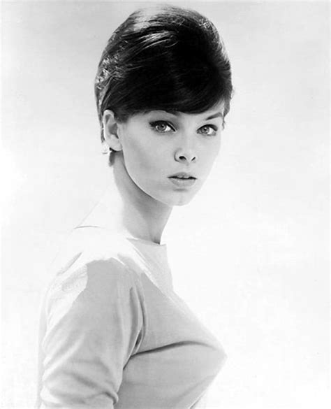 Yvonne Craig Measurement