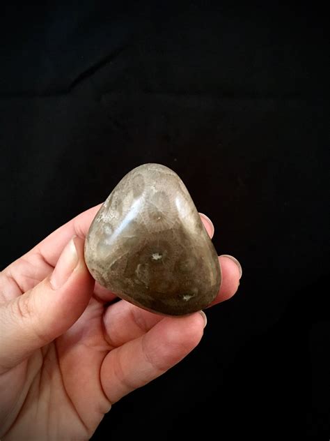 Beautifully Hand Polished Petoskey Stone!!
