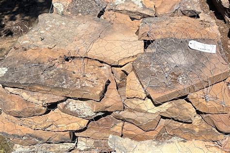 Moss Wall – Minick