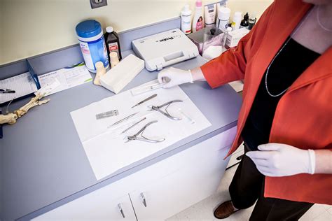 When Is Toenail Removal Necessary? Sterling VA Foot Doctors