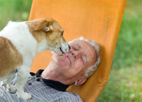 Is Dog Saliva Clean? Are Dogs’ Mouths Cleaner Than Humans’?