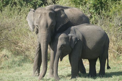 Big Tits Moms Photos, Download The BEST Free Big Tits Moms Stock Photos ...