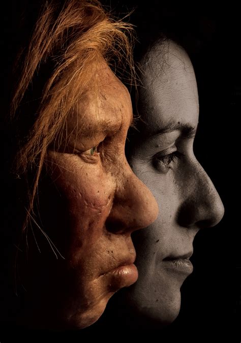 Neanderthal Genes Hold Surprises for Modern Humans | National Geographic