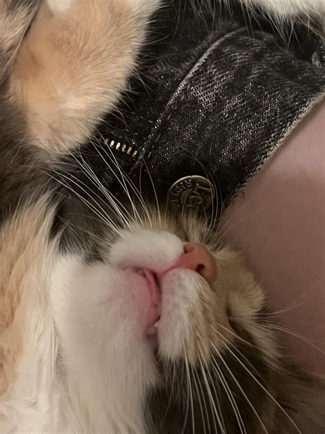 “Just wanted to go pee, now I’ve been on the toilet for 30 minutes ...