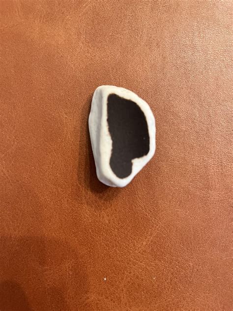 Found on Long Island, Maine. What is it? : r/whatsthisrock