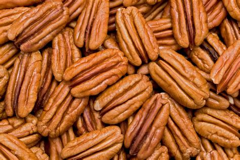Are Pecans Sustainable at Eva Howse blog