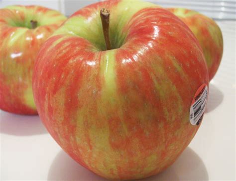 Honeycrisp Apples Origin | Honeycrisp Apple History - GEAIMQ
