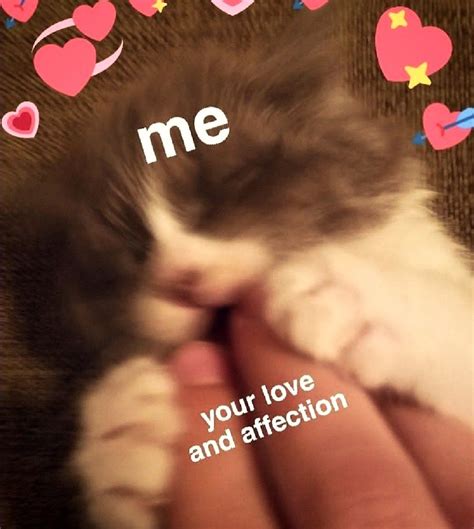 #ʍҽʍҽƘɑɾԵ | Wholesome couple memes, Flirty couple memes, Romantic ...