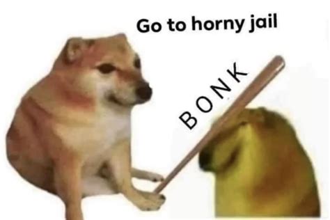 Haha funny porn meme : r/dankmemes