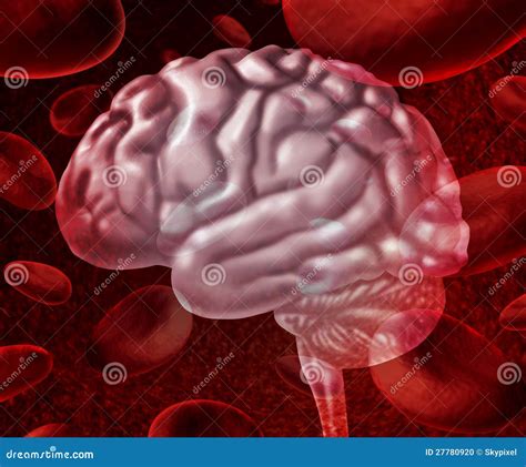 Brain Blood Clot Royalty-Free Illustration | CartoonDealer.com #69847503