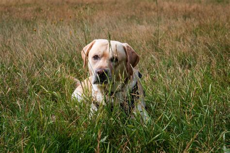 Blondes+Spread+Legs+Naked Photos, Download The BEST Free Blondes+Spread+Legs+Naked Stock Photos ...