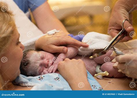 Umbilical Cord