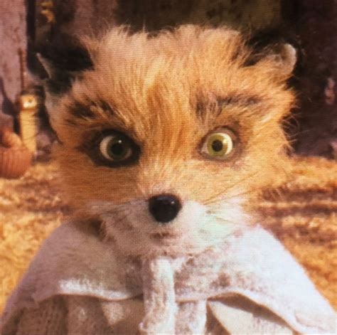 130 Ash& Kristofferson ideas in 2025 | fantastic mr fox, fantastic fox ...