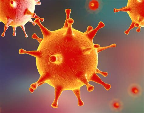 Herpes viral culture of lesion