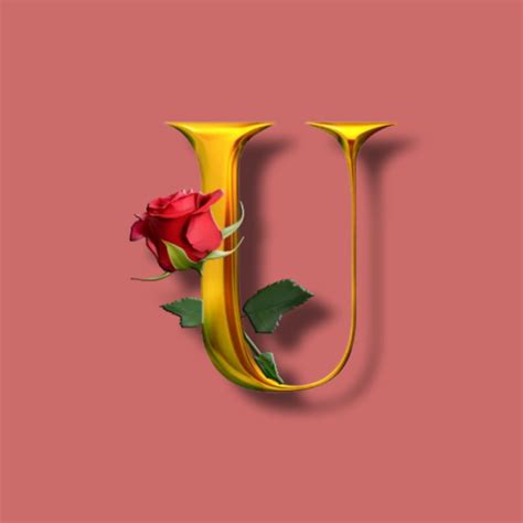 Best 20+ U Name DP » Mixing Images