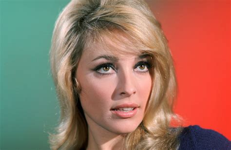 Sharon Tate - Turner Classic Movies
