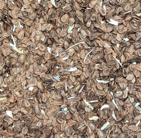 Prairie Legacy Inc. & Witt's End Homestead