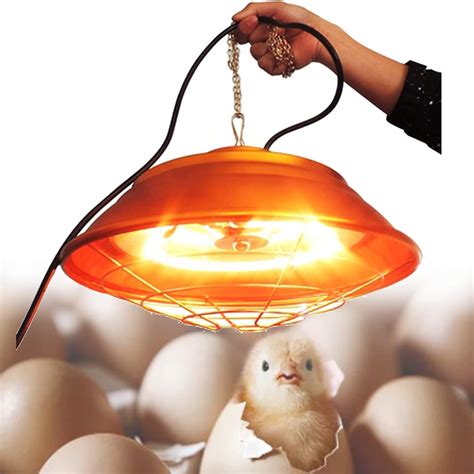 How Long Do Puppies Need Heat Lamps