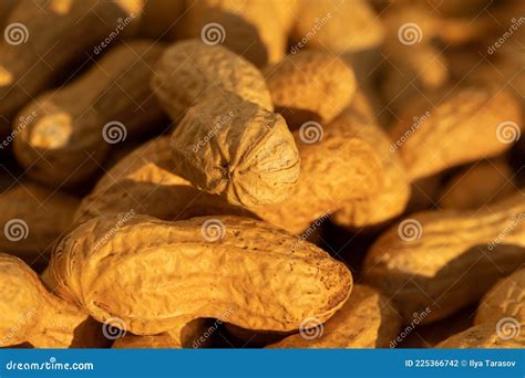 Peanuts in Shells. Roasted in the Shell Peanuts Stock Photo - Image of ...