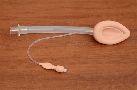 Laryngeal Mask Airway Use In Intubation at Raymond Eudy blog