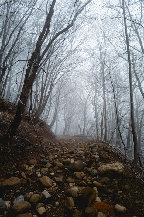 Luxydutch Leaked Nude