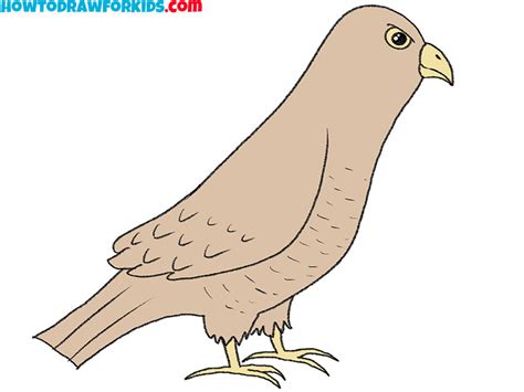 How to Draw a Hawk - Easy Drawing Tutorial For Kids