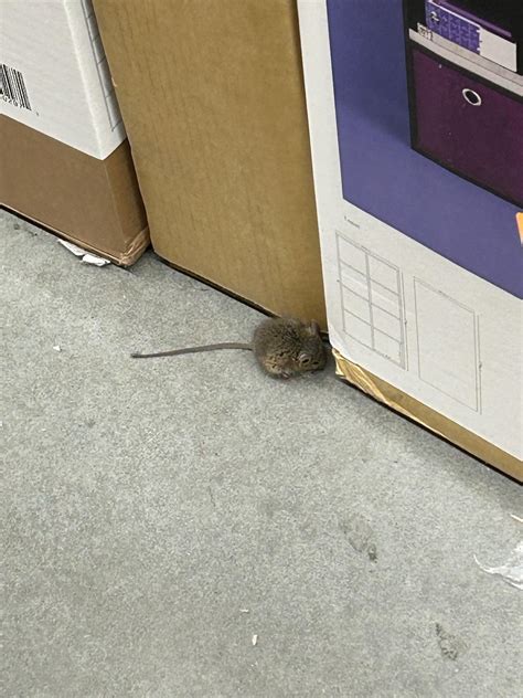 BF sent me this from work, what would you do? : r/Target