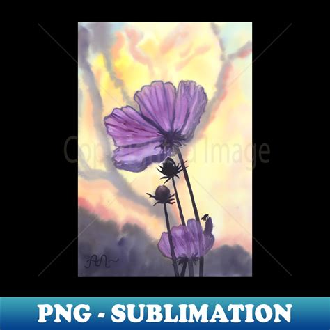 Mira Sunset Exclusive Porn Videos