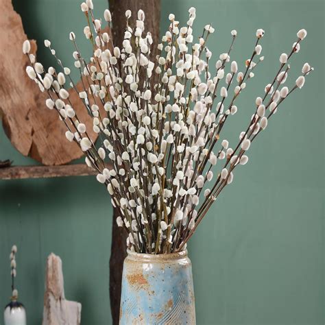 Amazon.com: Koceko 35 Stems 17＂Real Dried Pussy Willow Branches for ...