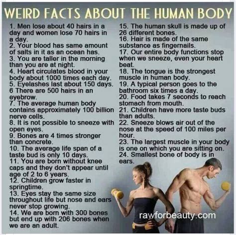 Weird Facts about the Human Body | Medical facts, Human body facts, Health facts