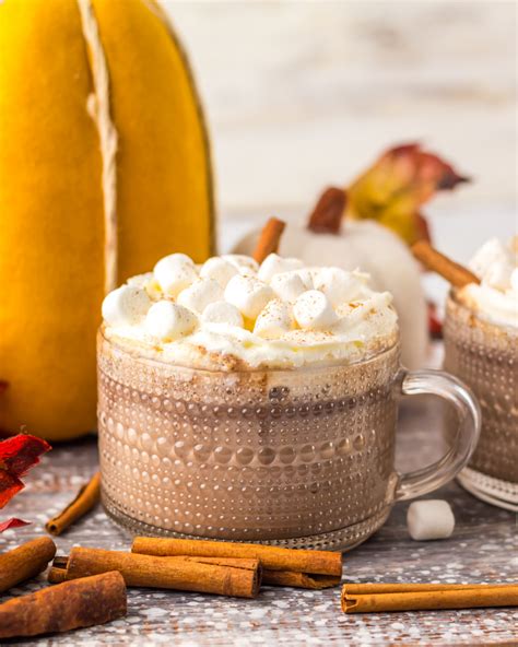 Slow Cooker Pumpkin Hot Chocolate - Everyday Eileen