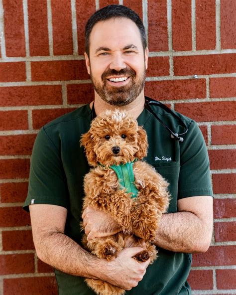 Pet Hospital of Thousand Oaks