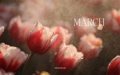 Desktop Wallpapers Spring Season March Tech Backgrounds: Free Spring