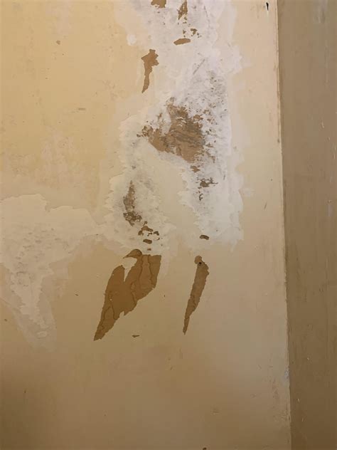 Wall paper removal : r/drywall