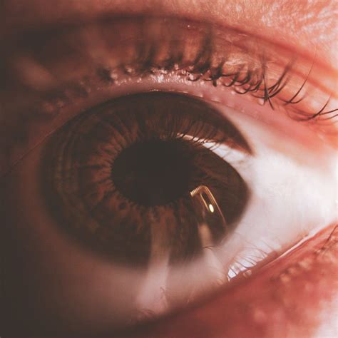 Conjunctiva vs Sclera: Difference and Comparison